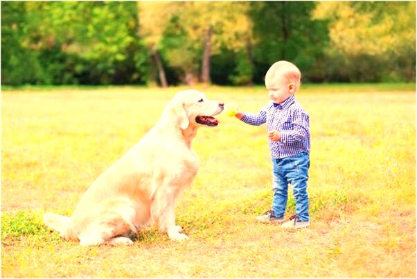 夢見黃金蛇追兔子有什麼寓意嗎？_周公解夢官網