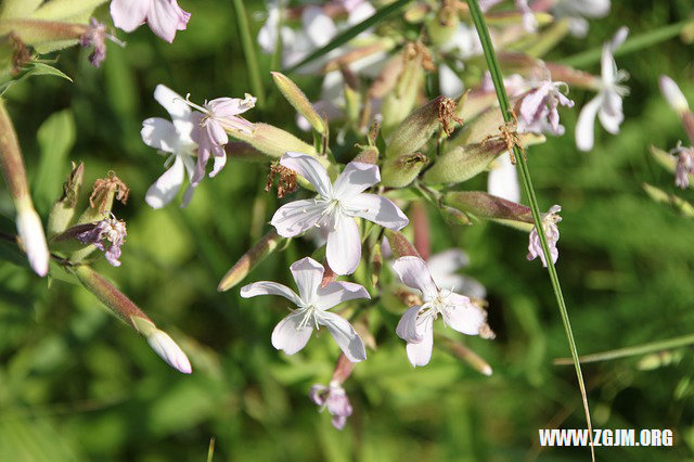 夢見別人送鞋_周公解夢夢到別人送鞋是什麼意思_做夢夢見別人送鞋好不好_周公解夢官網
