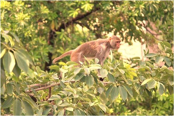 夢到老婆離自己很遠是不是好的徵兆呢_周公解夢官網