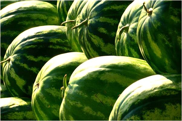 夢見自己又走丟了好不好_周公解夢官網