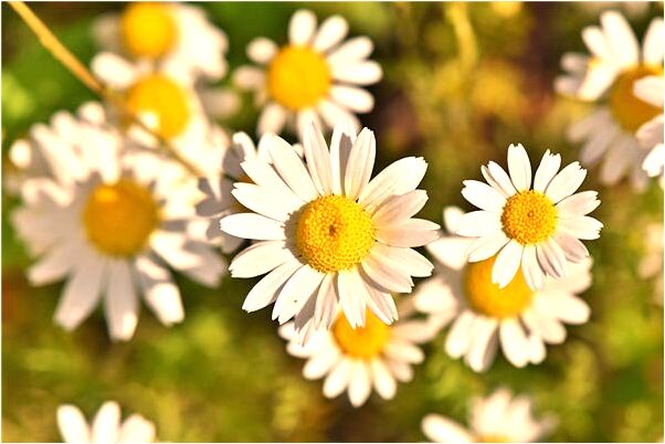 夢到了下雨流血被人用刀砍會是什麼預兆_周公解夢官網