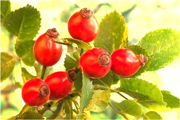 夢到殺人後逃離現場是什麼兆頭_周公解夢官網