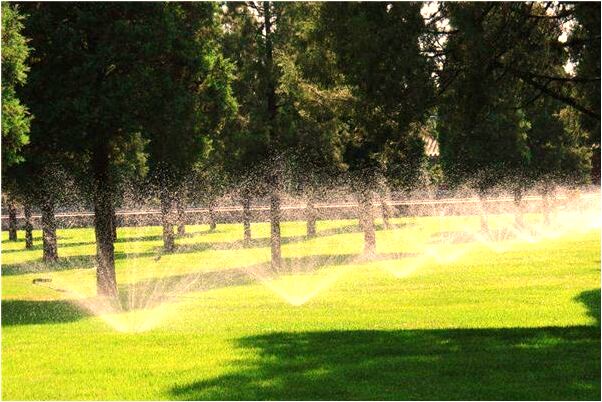 夢到了發的水是白色的有什麼預兆_周公解夢官網