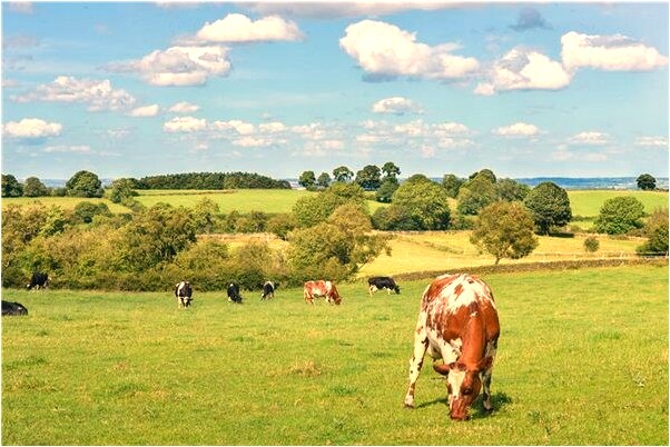夢到和母親妹妹在一起意味著什麼_周公解夢官網