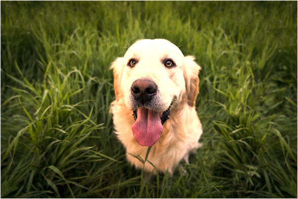 夢見關公騎飛馬代表著什麼_周公解夢官網
