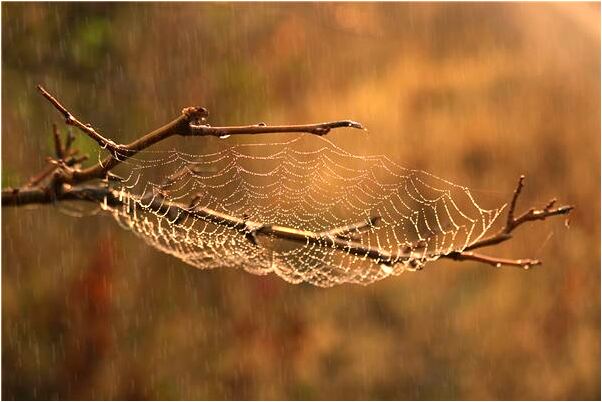 夢到塞班島美國是凶兆還是吉兆_周公解夢官網