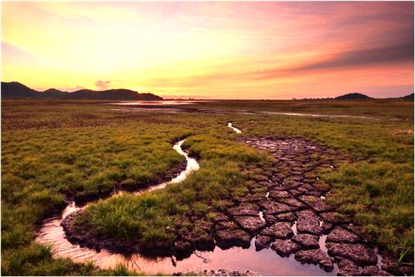 夢到了打別人沒見血有什麼含義_周公解夢官網