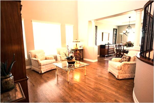 夢到家裡養了兩條狼怎么回事_周公解夢官網