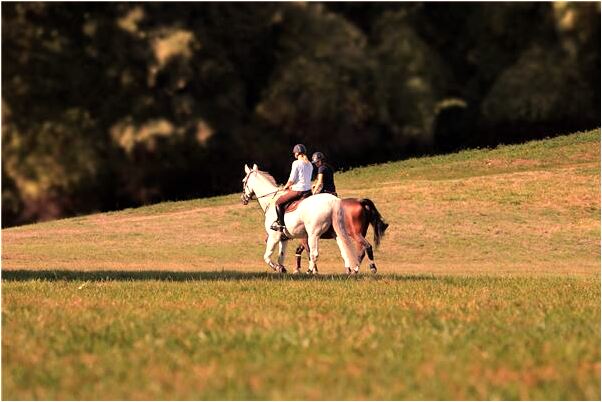 夢見戀人眼睛瞎了是怎么回事_周公解夢官網