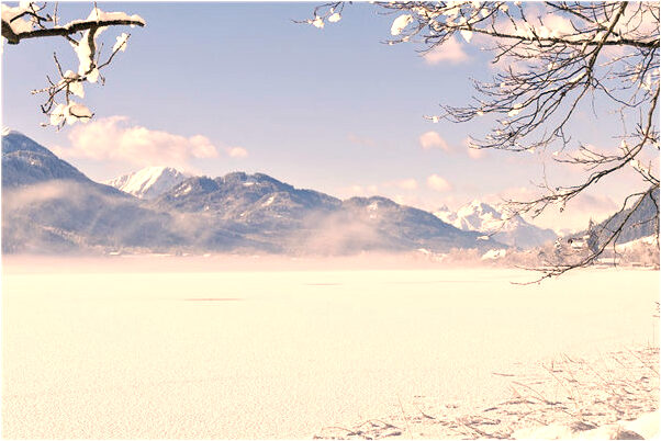 夢到當上經理會是什麼預兆_周公解夢官網