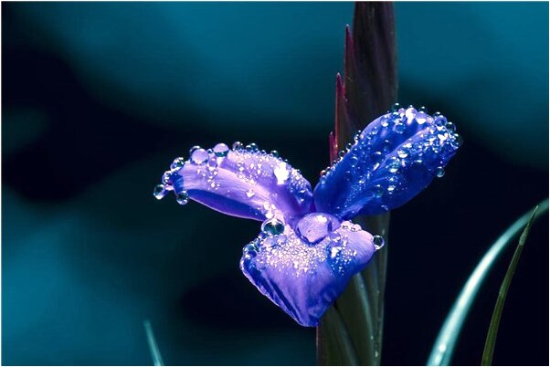 夢見摸陌生女人下體是咋回事_周公解夢官網