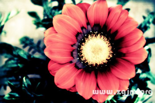 金牛座:另一種英雄_十二星座