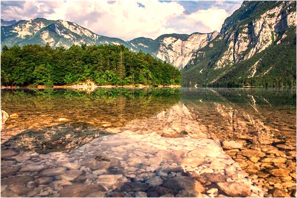 夢見自己腿上有皮毛有什麼預兆_周公解夢官網