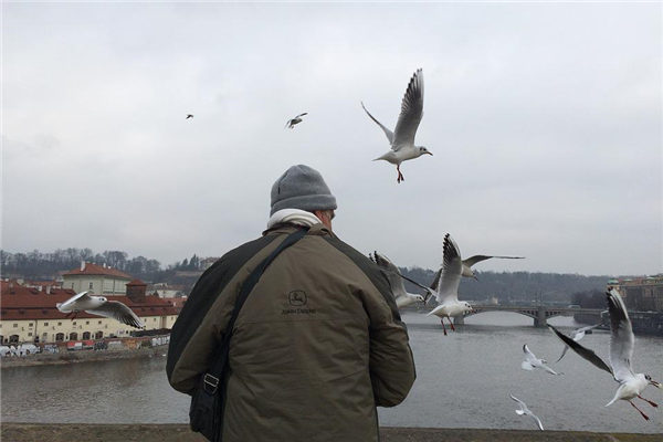 夢到了大叔預示什麼_周公解夢