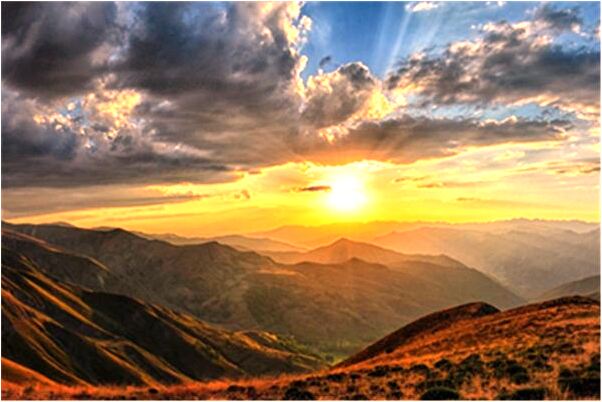 夢到了臭鼬會飛是凶兆還是吉兆_周公解夢官網