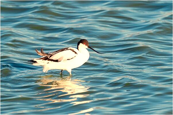 夢到了被不認識的男人追求有什麼含義_周公解夢官網