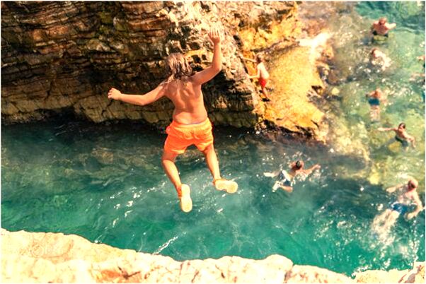 夢到了母貓抓我跳的很高是什麼意思？_周公解夢官網