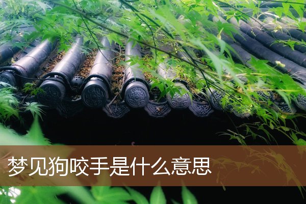夢見狗咬手是什麼意思_周公解夢
