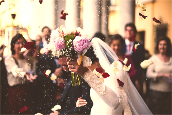 夢到了撒發芽的種子在地里怎么樣_周公解夢官網
