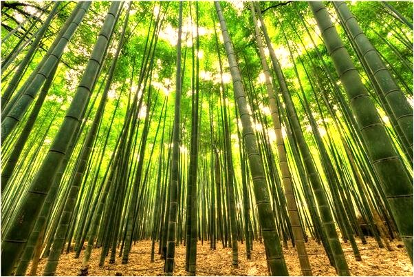 夢到了在牆邊撿了好多金器是什麼預兆_周公解夢官網