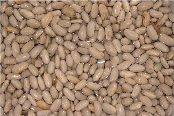 夢到小孩屁股著火有什麼說法_周公解夢官網