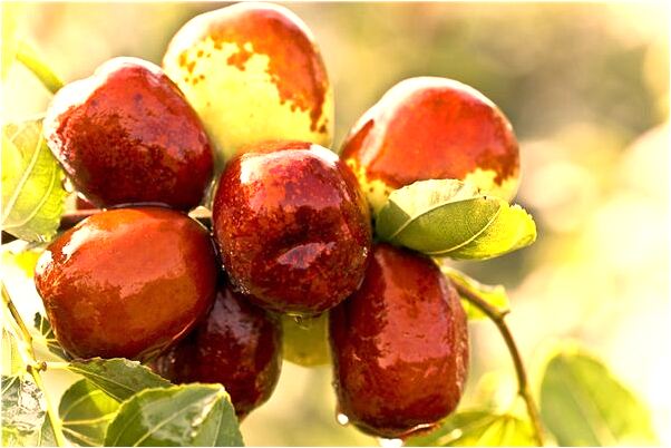 夢見領導寫我的名字在黑板預示了什麼_周公解夢官網