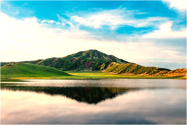 夢到芒果樹開花會是什麼預兆_周公解夢官網