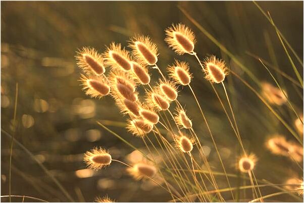 夢到了有人來看房是什麼兆頭_周公解夢官網