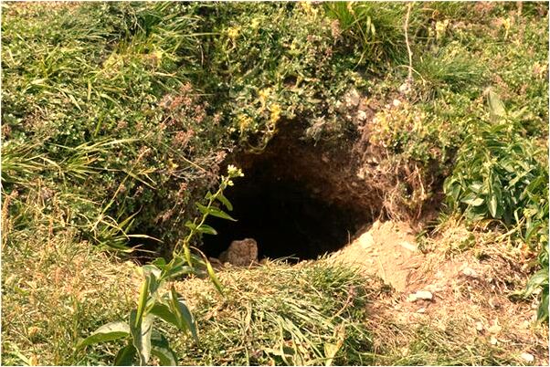 夢到了自已在廁所拉屎啥意思_周公解夢官網