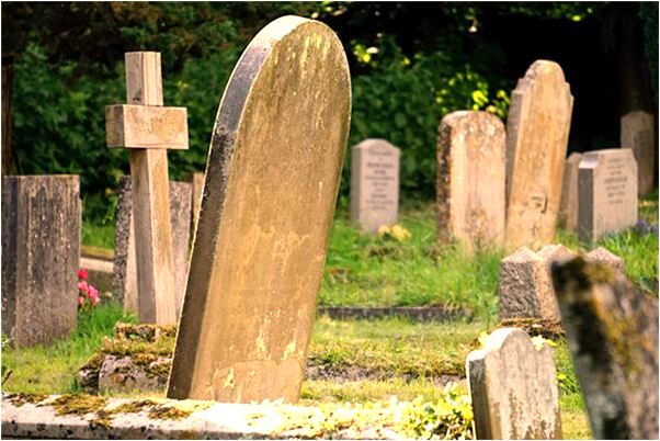 夢到黃色的魚預示什麼_周公解夢官網