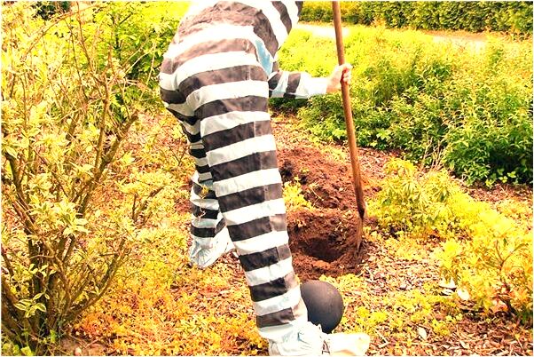 夢到了懷孕女人沒穿上衣是凶兆還是吉兆_周公解夢官網