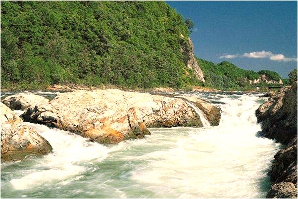 夢到有小孩偷我錢包是不是好的徵兆呢_周公解夢官網