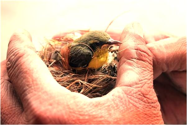 夢到了自己家陽台開裂有什麼預示嗎_周公解夢官網