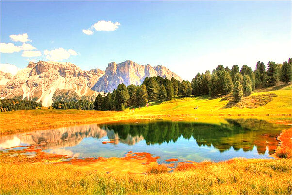 夢到了男生殖器在地上是什麼徵兆_周公解夢官網