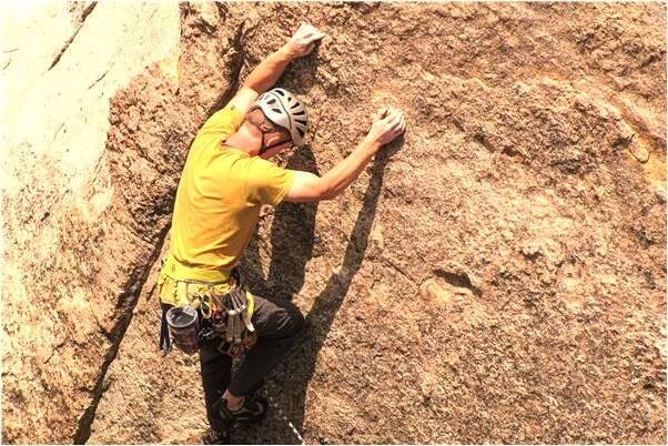 夢到好多龍和魚是凶兆還是吉兆_周公解夢官網