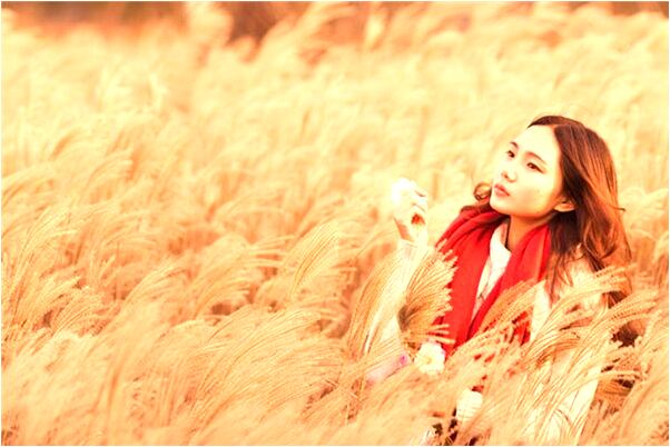 夢見朋友都遠離我是好是壞_周公解夢官網