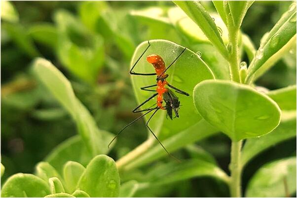 夢見刷牙牙掉了會怎么樣_周公解夢官網