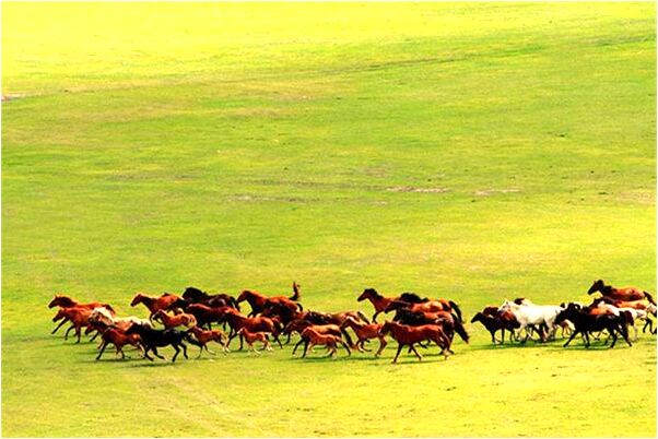 夢到夢收衣服預示了什麼_周公解夢官網