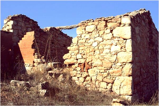 夢到了臉上長滿坑什麼預兆_周公解夢官網