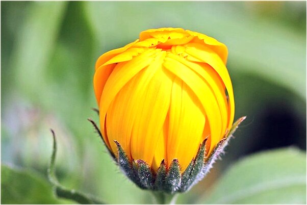 夢見巨劍漂浮是怎么回事_周公解夢官網