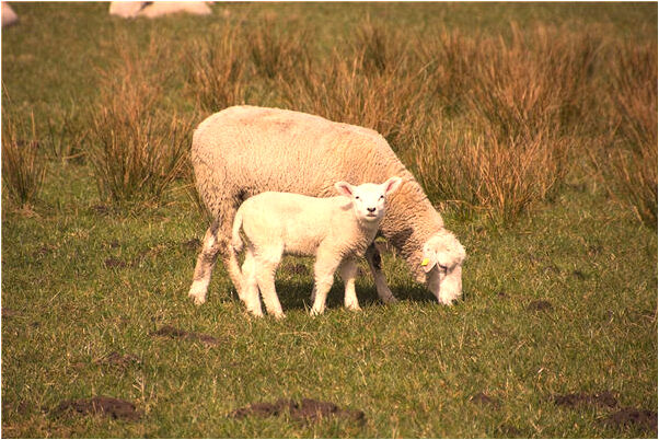 夢到了不同工作單位發不同的福利是什麼意思_周公解夢官網