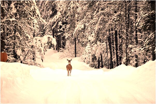 夢到了別人給我看手相有何寓意_周公解夢官網