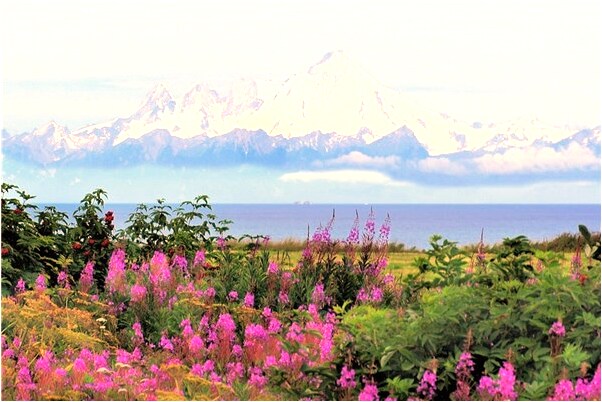 夢到找了一份不好的工作有什麼意思_周公解夢官網