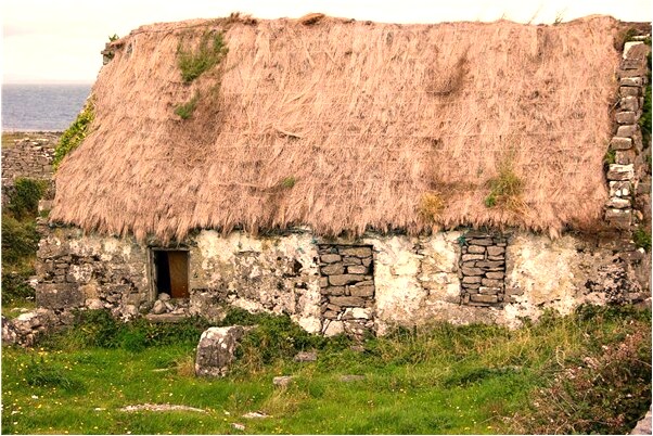 夢見巨蟹女運勢怎么樣_周公解夢官網