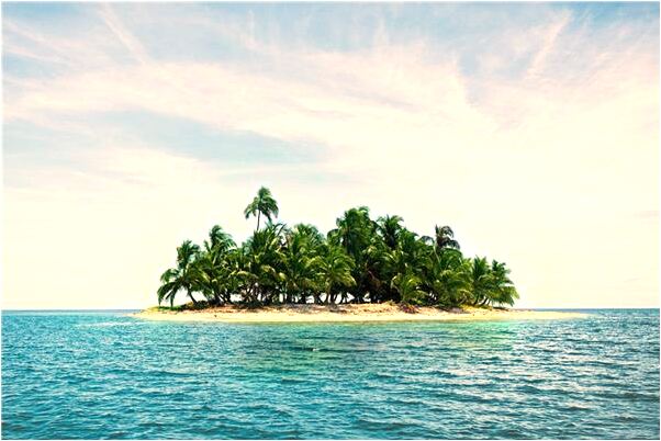 夢見我夢一條大魚像鯨魚預示著什麼_周公解夢官網