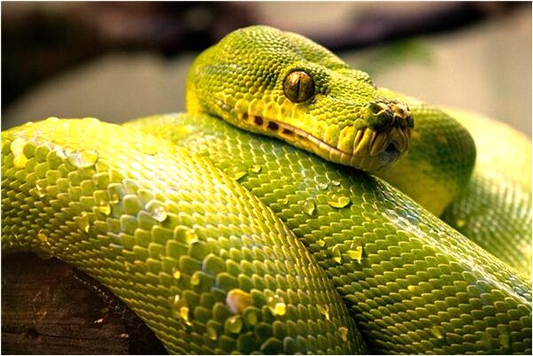 夢到收拾舊鞋怎么說_周公解夢官網