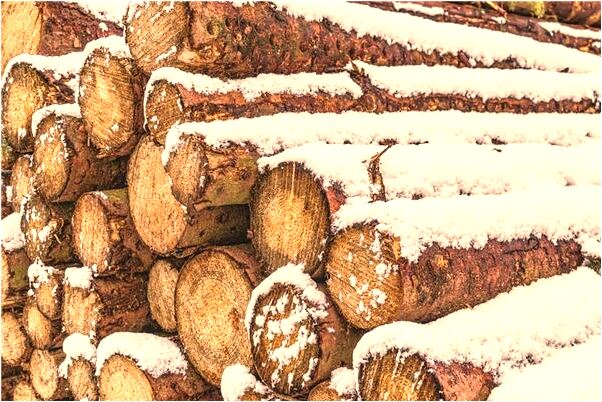 夢見自己肚子上口子代表什麼_周公解夢官網