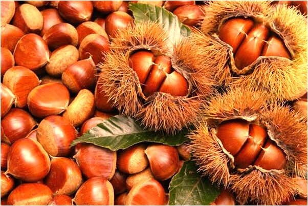 夢到了新房快蓋好又逃走了有什麼意思_周公解夢官網