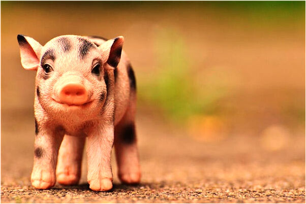 夢見一個人不停地說二月回家意味著什麼_周公解夢官網