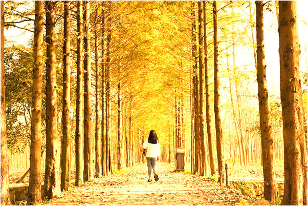 夢到生龍仔會是什麼預兆_周公解夢官網